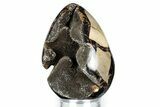 Septarian Dragon Egg Geode - Sparkly Black Crystals #343862-2